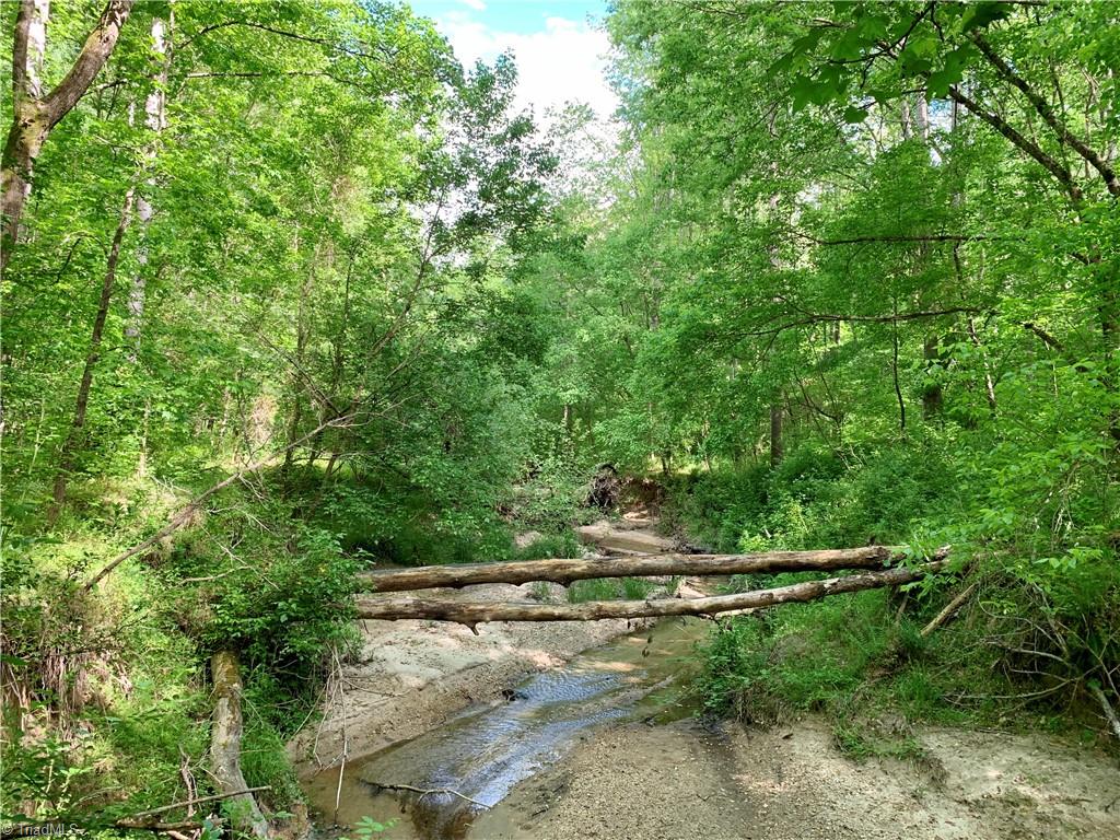 7720 Boyer Farm Road Walnut Cove, NC 27052 - Photo 4 of 49 big creek