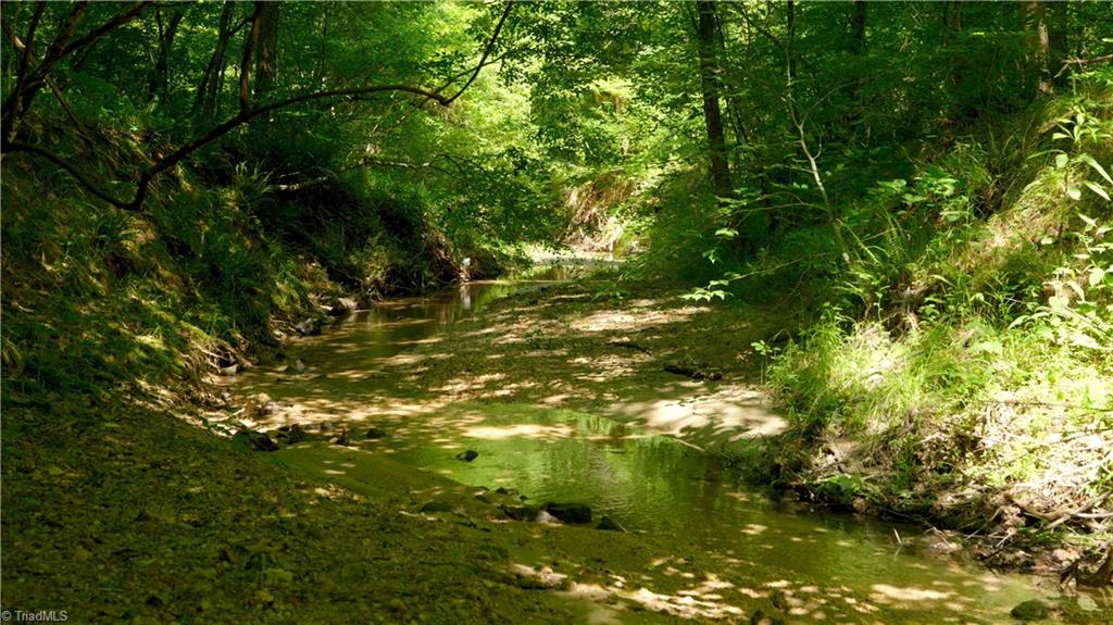 7720 Boyer Farm Road Walnut Cove, NC 27052 - Photo 42 of 49 large creek located in lower half of property