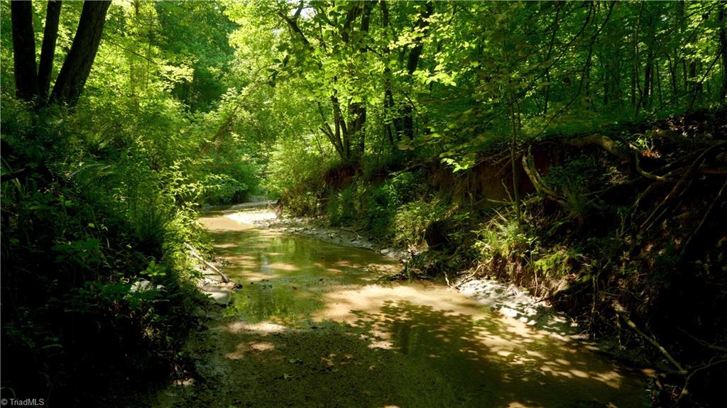7720 Boyer Farm Road Walnut Cove, NC 27052 - Photo 45 of 49 large creek located in lower half of property