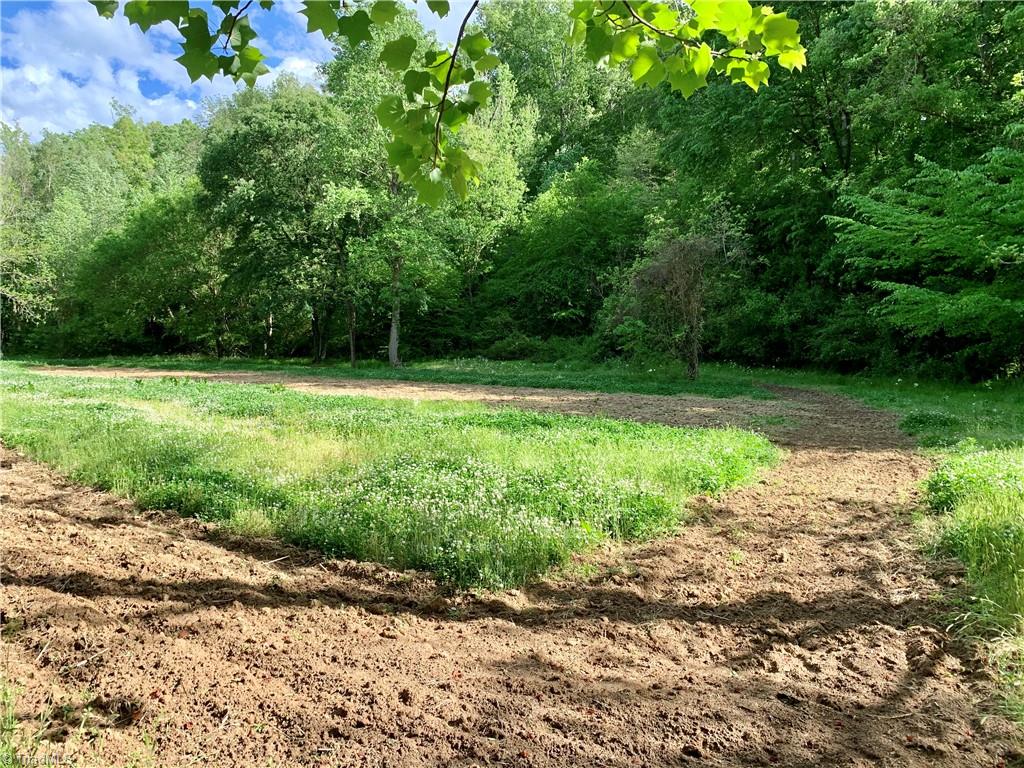 7720 Boyer Farm Road Walnut Cove, NC 27052 - Photo 6 of 49 food plot