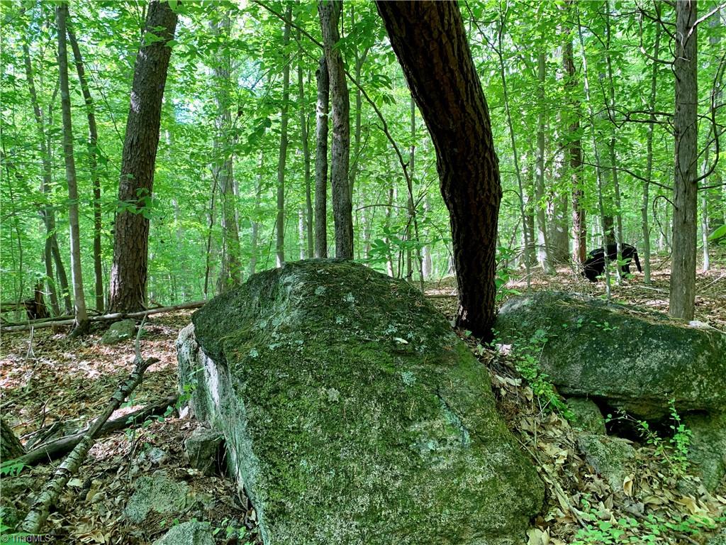 7720 Boyer Farm Road Walnut Cove, NC 27052 - Photo 7 of 49 large boulders