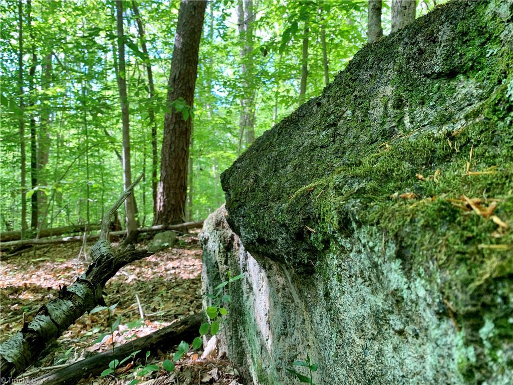 7720 Boyer Farm Road Walnut Cove, NC 27052 - Photo 8 of 49 some rock outcrops