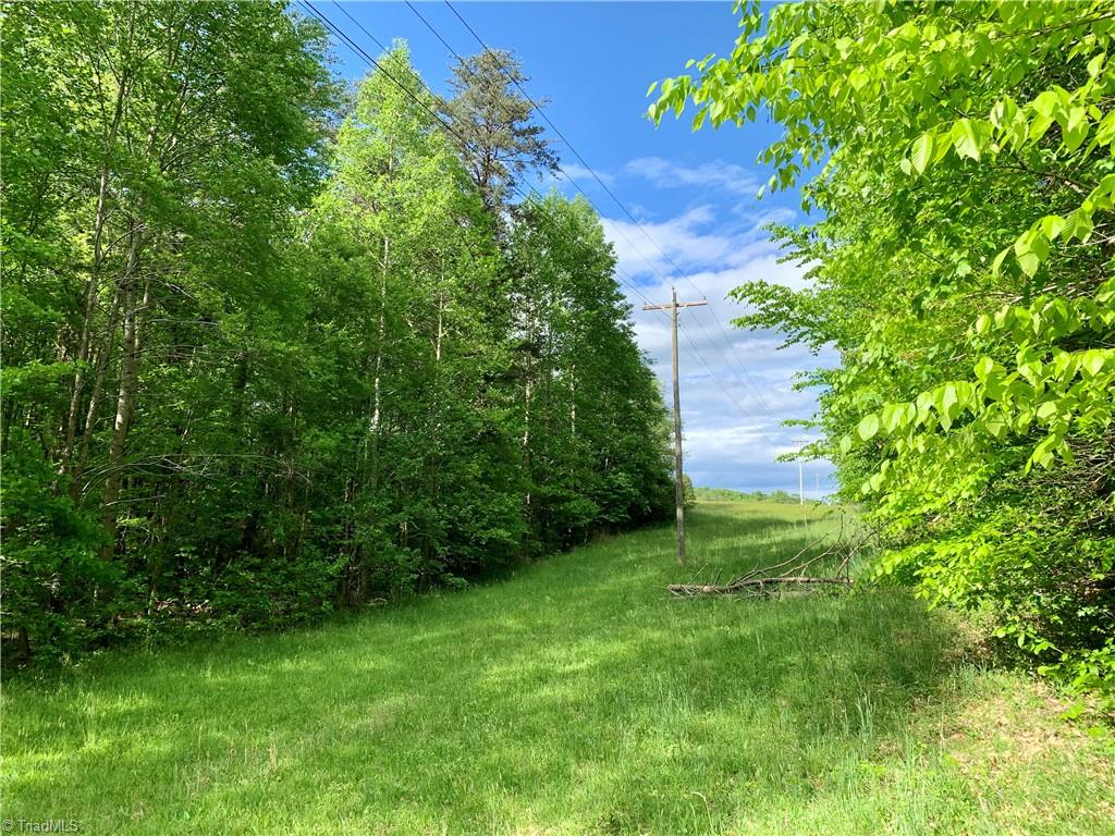 7720 Boyer Farm Road Walnut Cove, NC 27052 - Photo 9 of 49 looking east down property's power line