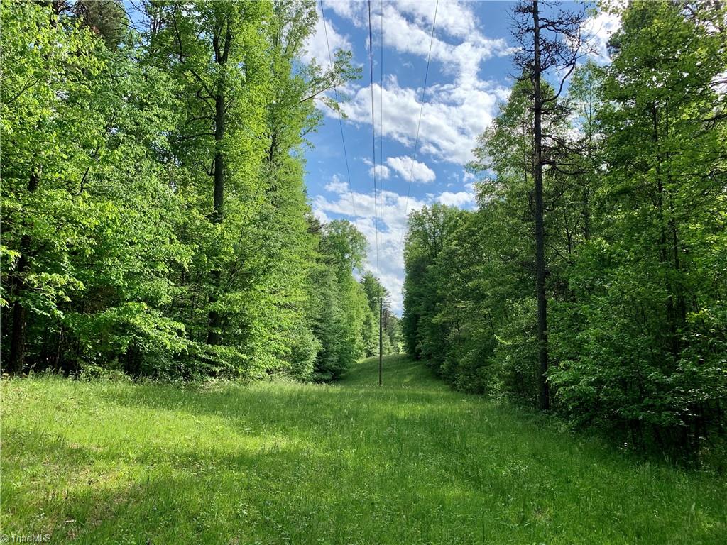 7720 Boyer Farm Road Walnut Cove, NC 27052 - Photo 10 of 49 looking west down property's power line
