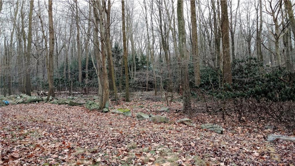 125 Birch Road Acme, PA 15610 - Photo 6 of 18 The wooded, double lot offers plenty of privacy and wildlife watching