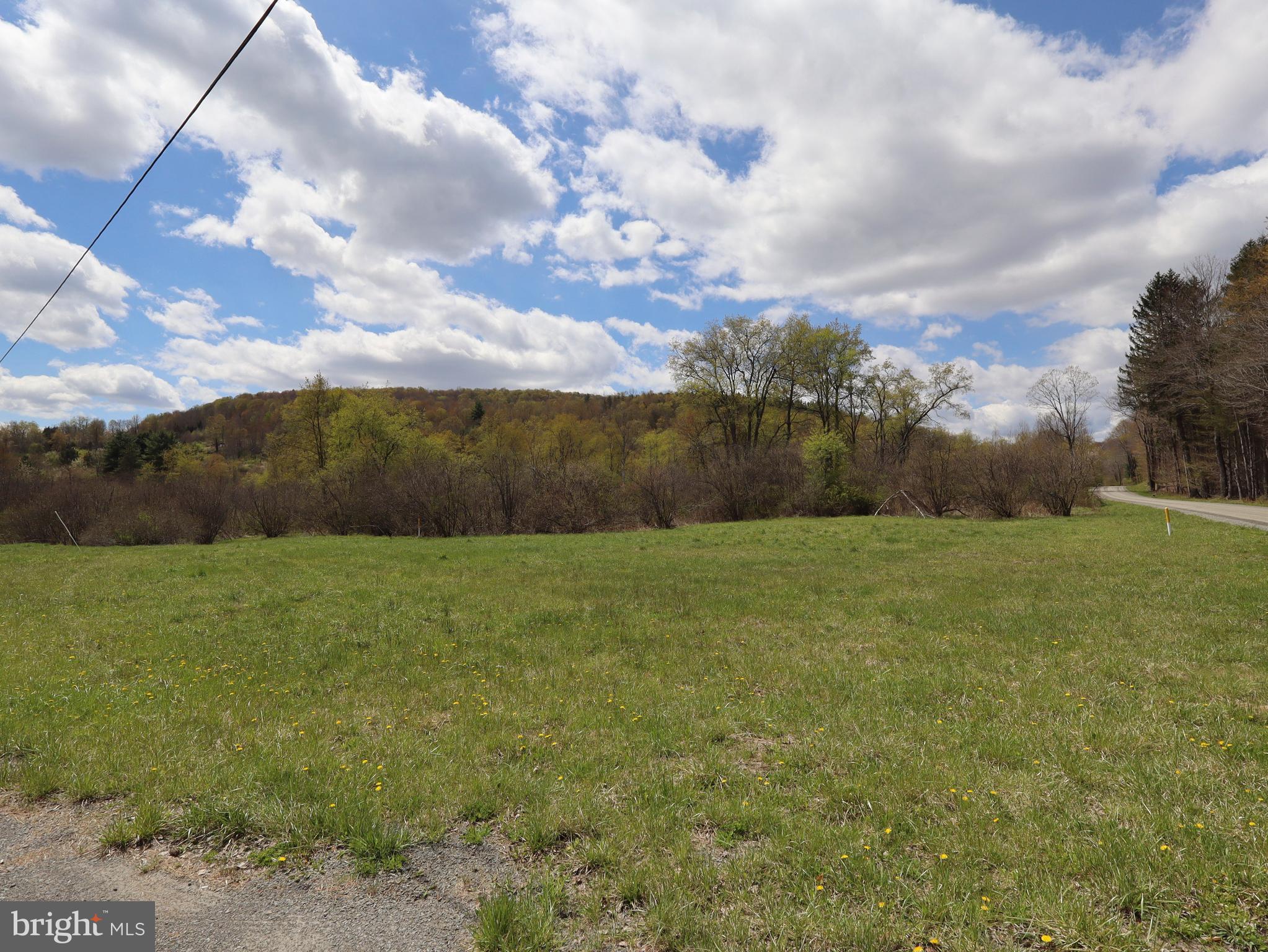 0 Holbrook Road Montrose, PA 18801 - Photo 64 of 147