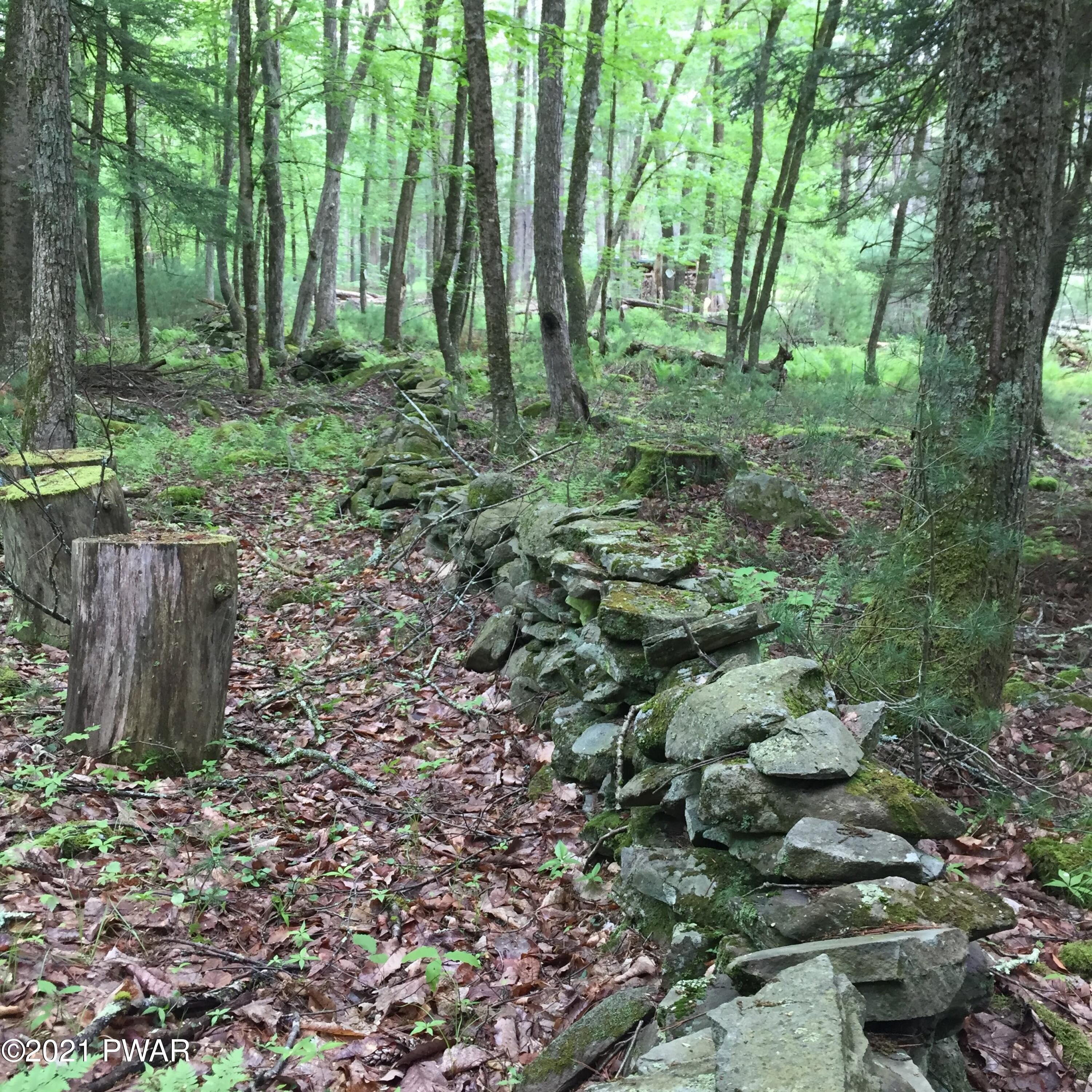 Lot # Swamp Pond Road Narrowsburg, NY 12764 - Photo 10 of 11