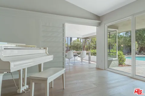 a room with window and a potted plant