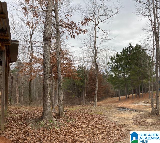 3795 Little Hope Road Centreville, AL 35042 - Photo 8 of 8