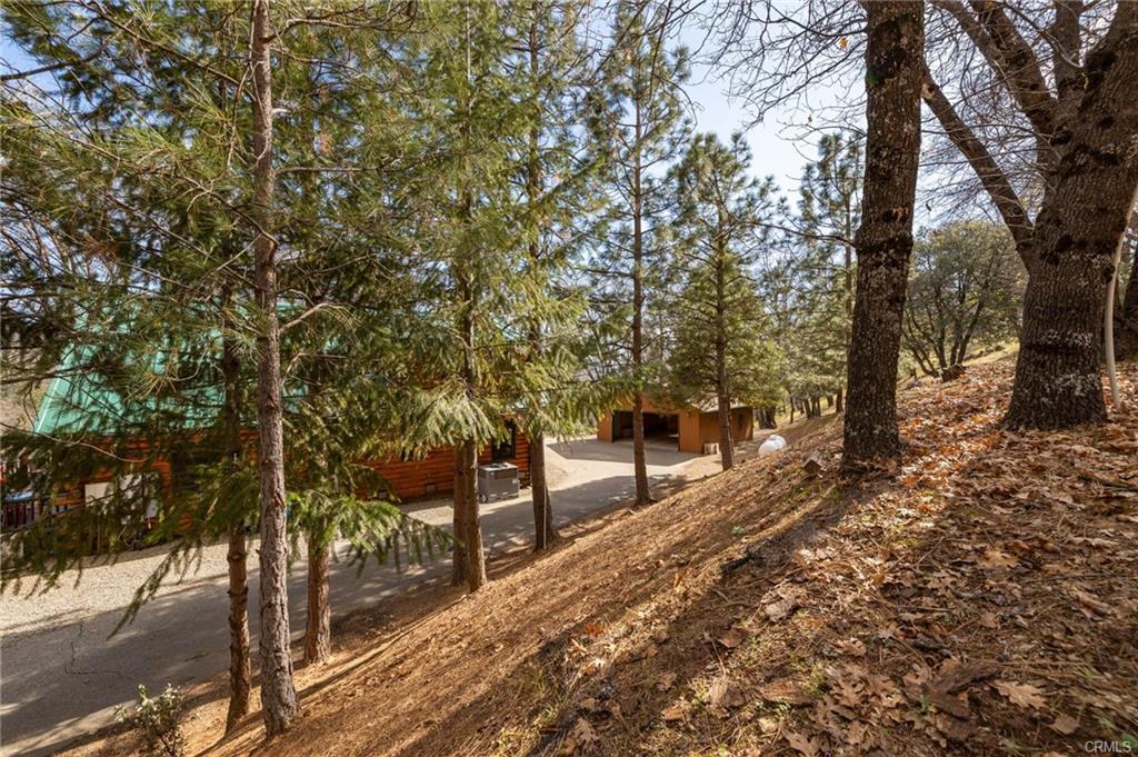 52815 Timberview Road North Fork, CA 93643 - Photo 64 of 75