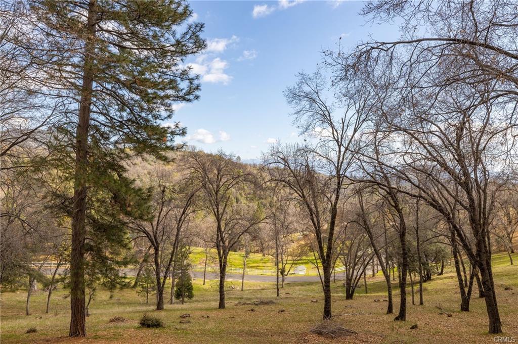 52815 Timberview Road North Fork, CA 93643 - Photo 65 of 75 a view of outdoor space with lots of trees