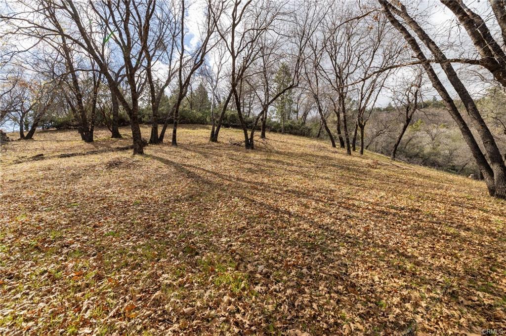 52815 Timberview Road North Fork, CA 93643 - Photo 67 of 75