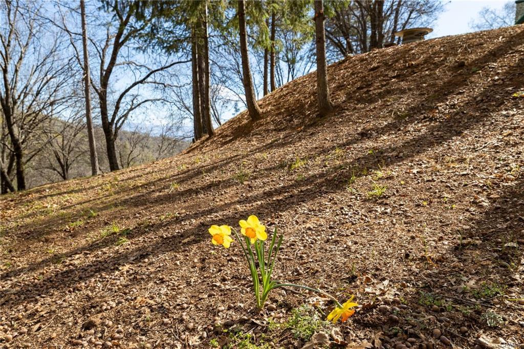 52815 Timberview Road North Fork, CA 93643 - Photo 69 of 75