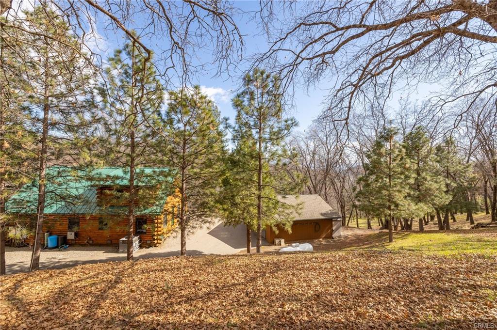 52815 Timberview Road North Fork, CA 93643 - Photo 72 of 75 a view of a yard with trees