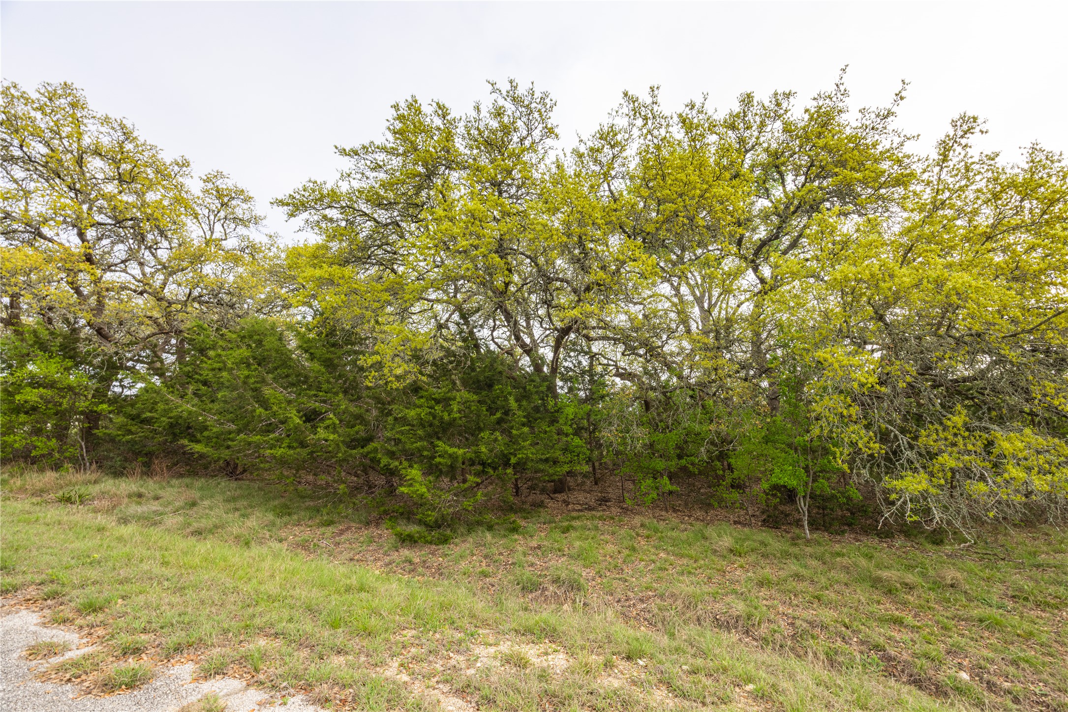 Tbd Tbd Logan's Way Blanco, TX 78606 - Photo 22 of 25 View of landscape