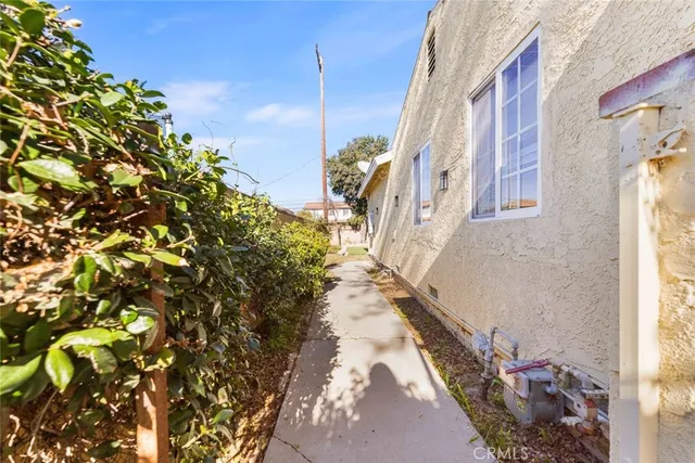 a view of a backyard with plants and large trees
