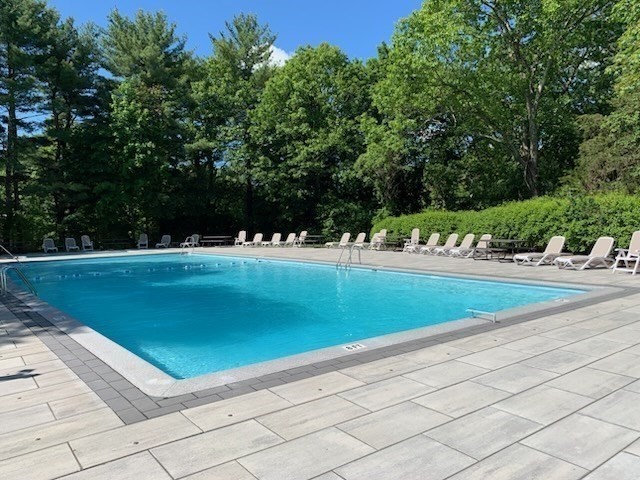 33 Jacqueline Road, Unit D Waltham, MA 02452 - Photo 22 of 26 Gallery Image 22