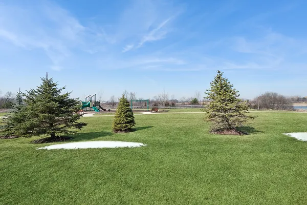 a view of a garden with large trees