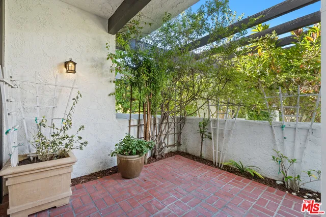 a garden with a potted plant