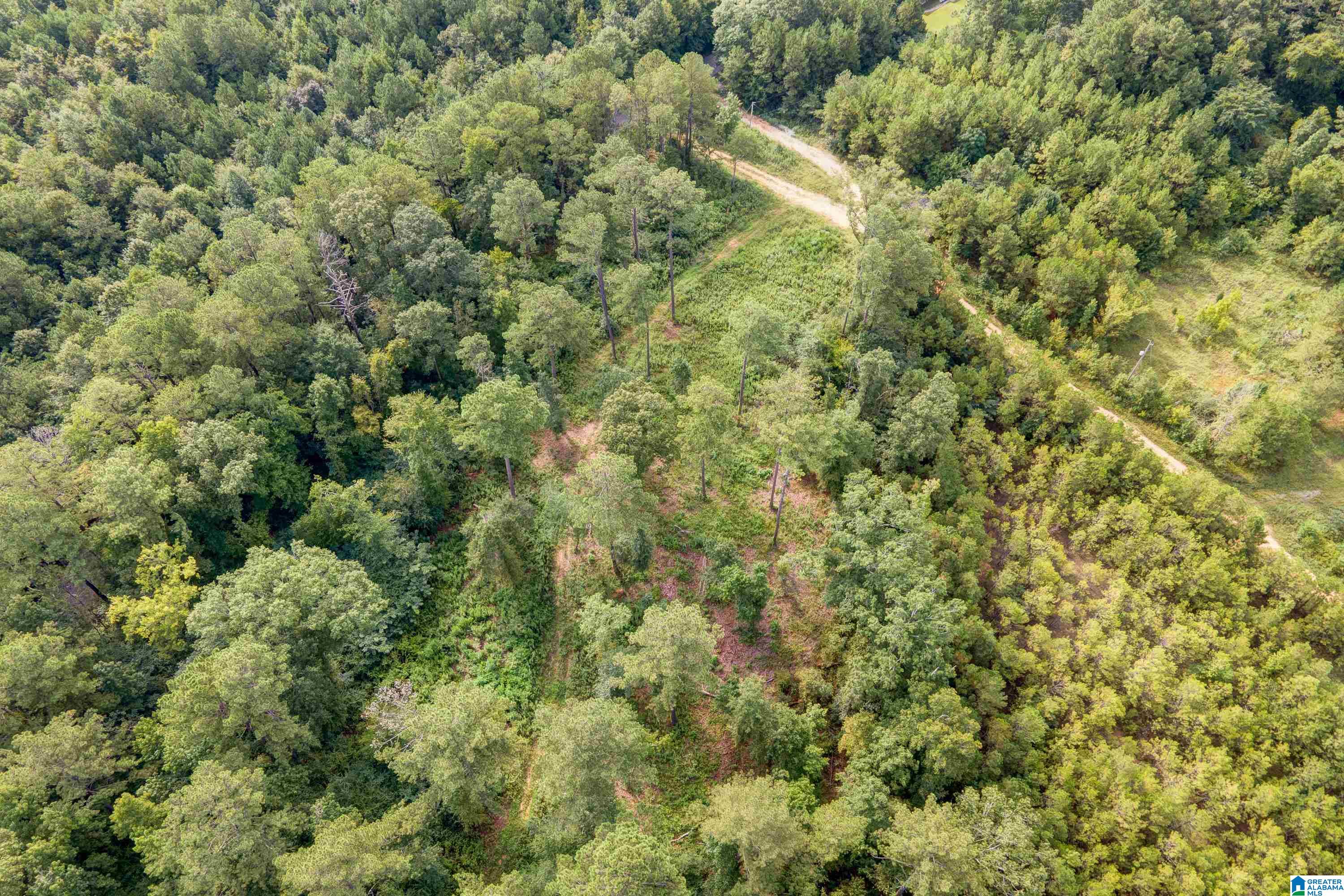 1062 Nixon Road Bessemer, AL 35022 - Photo 7 of 13