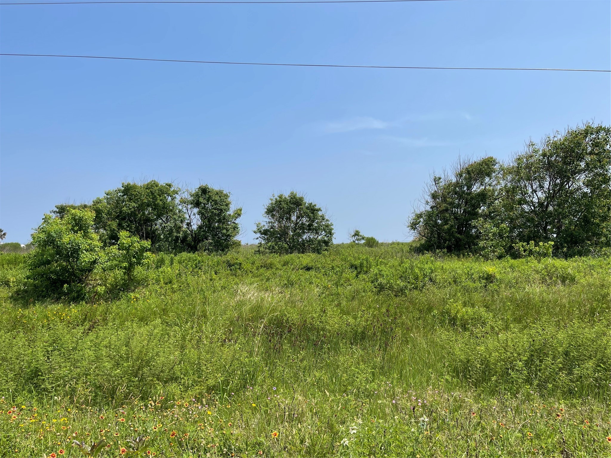 672 Highway 87 Port Bolivar, TX 77650 - Photo 2 of 12 a view of a yard