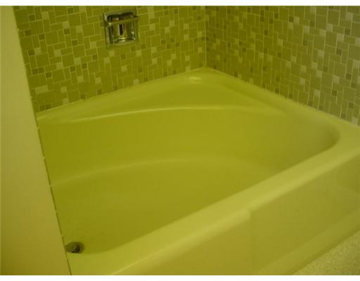 1345 Country Club Road Monongahela, PA 15063 - Photo 11 of 18 Master Bath/Spa.