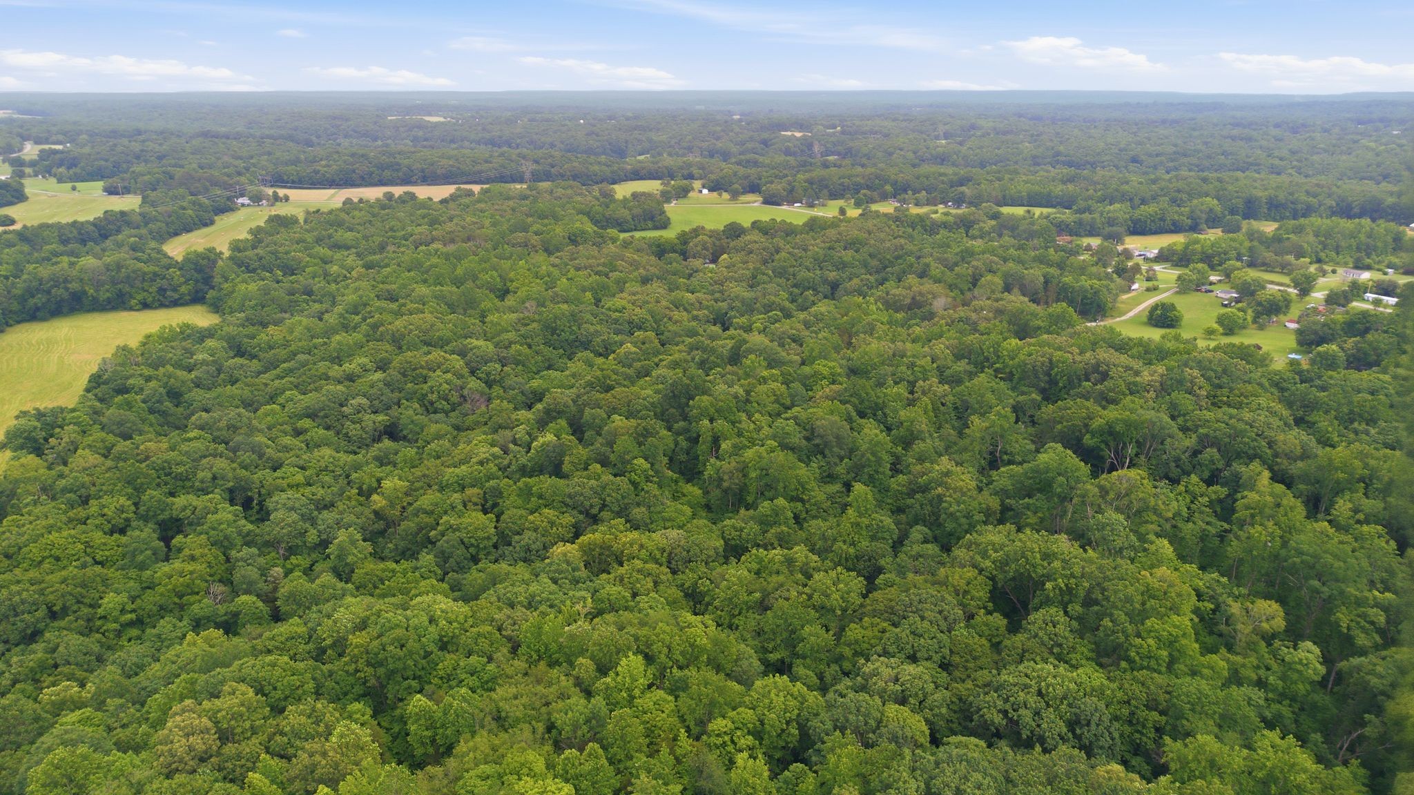 2010 Mosley Ferry Road Chapmansboro, TN 37035 - Photo 47 of 53