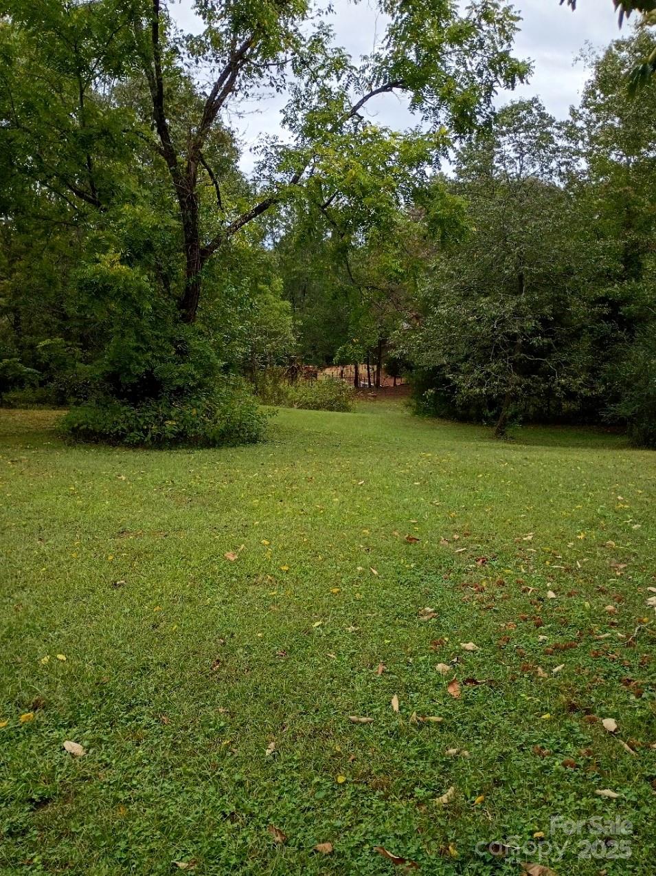290 Wallace Road Ellenboro, NC 28040 - Photo 6 of 18 a view of a green yard