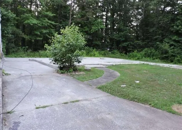 a view of a garden with a tree