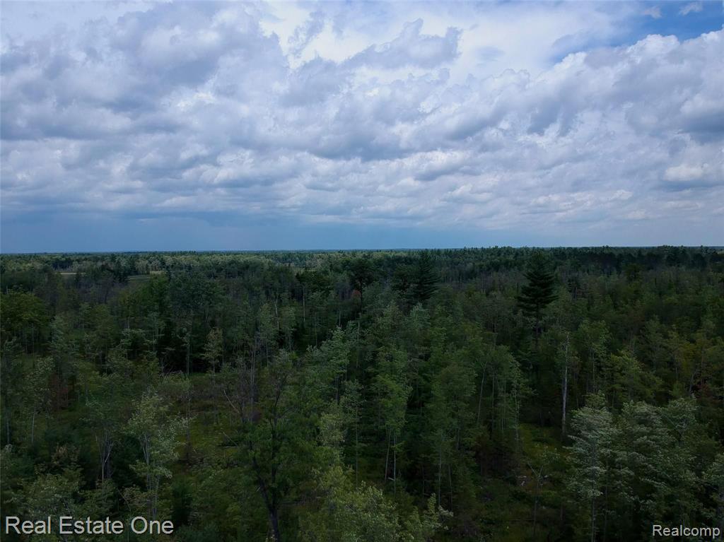 0 South Morrison Road West Branch, MI 48661 - Photo 28 of 38