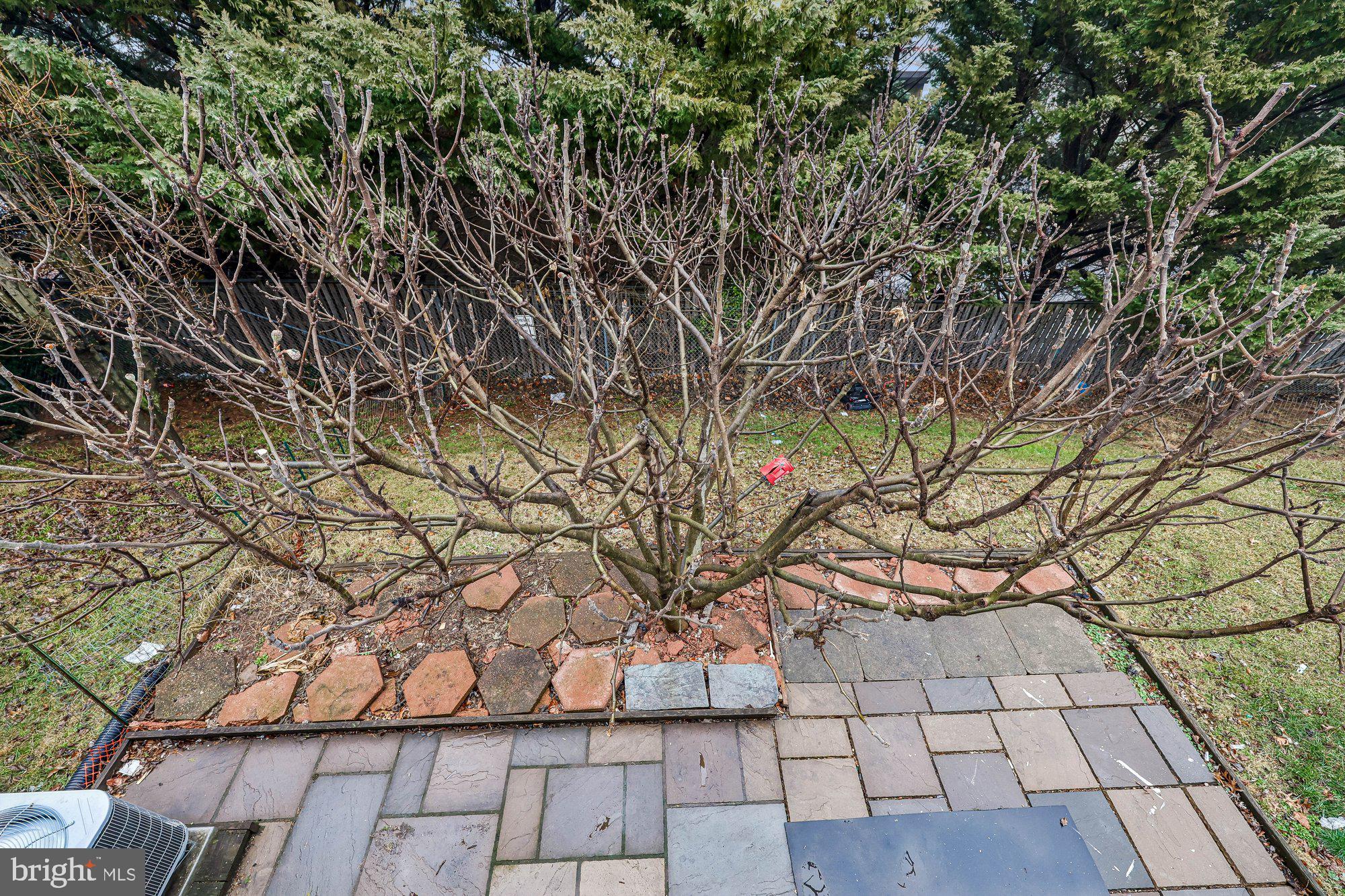 58 Apple Way Frederick, MD 21703 - Photo 29 of 82 View