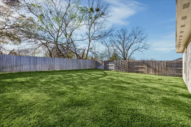 a view of backyard with tree