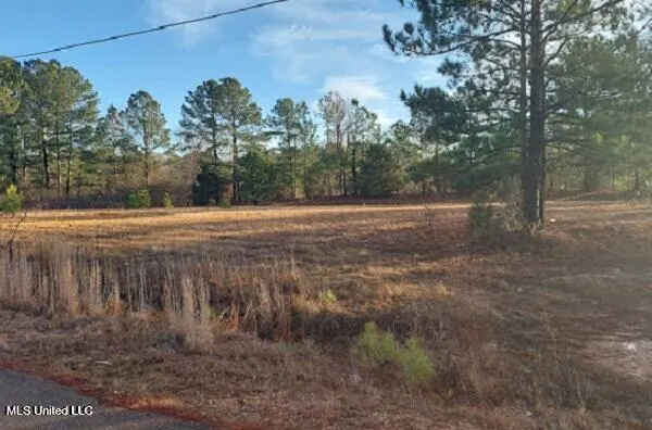 $19,900 | 1 Chenoa Avenue, Carthage, MS 39051