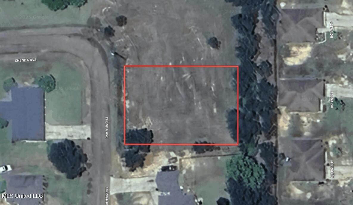 1 Chenoa Avenue Carthage, MS 39051 - Photo 4 of 4 IMG_3290 2