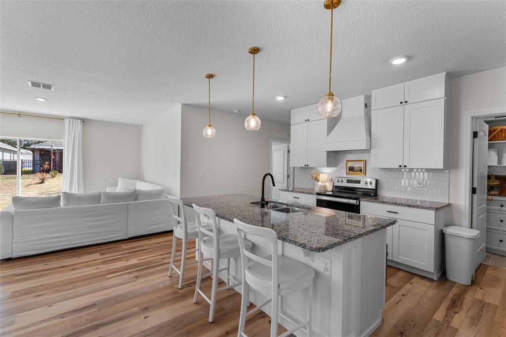 113 Camilla Road DeLand, FL 32724 - Photo 12 of 54 a kitchen with stainless steel appliances granite countertop a kitchen island a stove a sink a refrigerator white cabinets and couches with wooden floor