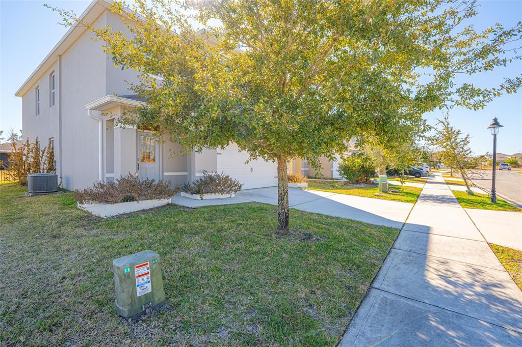 113 Camilla Road DeLand, FL 32724 - Photo 43 of 54 a view of a park with large trees
