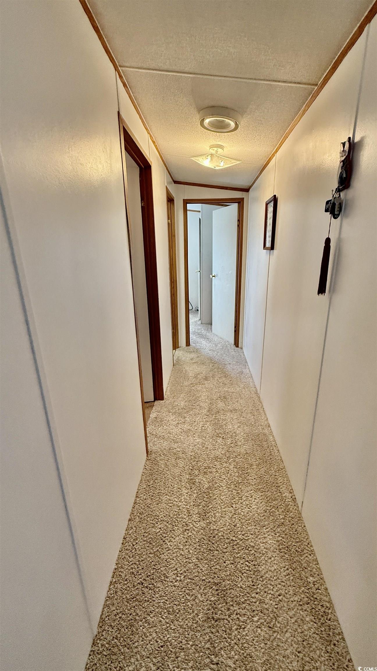 1056 Hunter Way Conway, SC 29526 - Photo 22 of 37