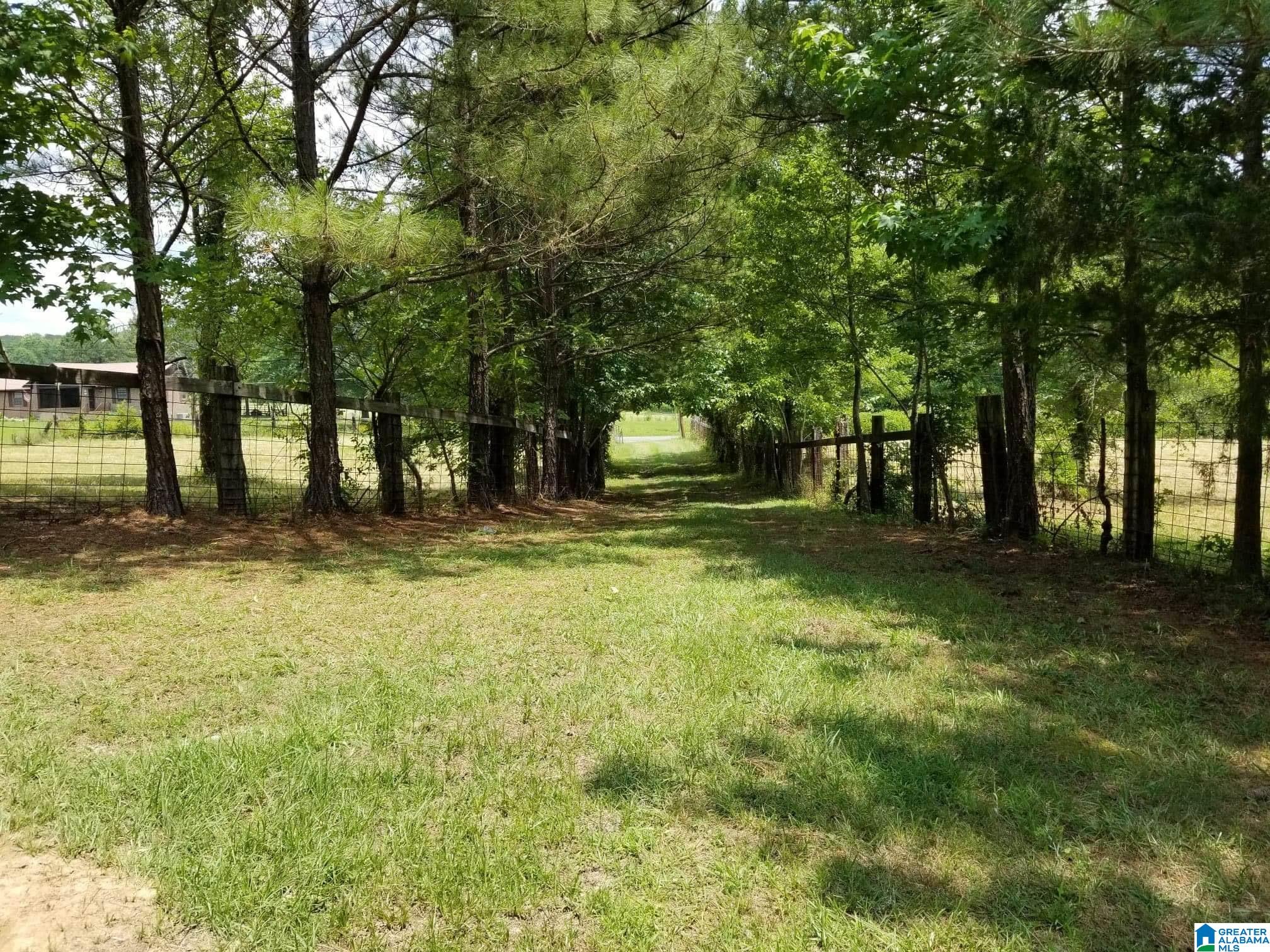 Honeycutt Road Remlap, AL 35133 - Photo 5 of 24