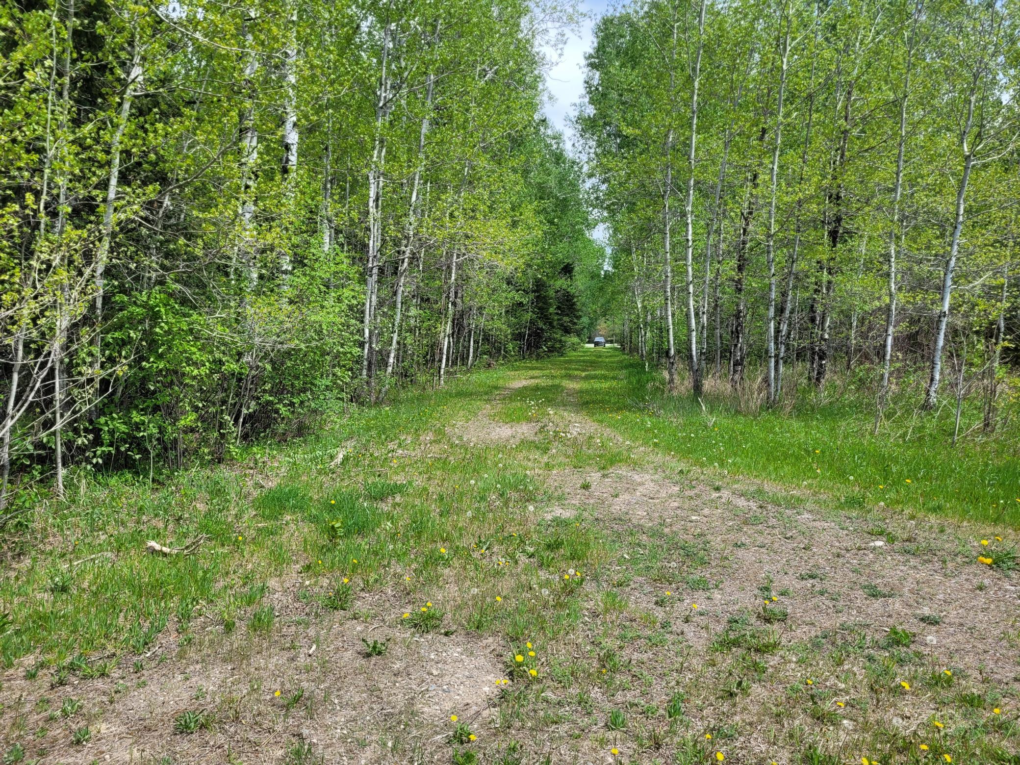 68401 County Road 547 Cook, MN 55723 - Photo 28 of 29