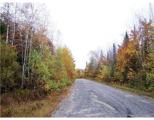 700 Butterfield Ridge Road Lincoln, ME 04457 - Photo 11 of 12 Land/Lot.