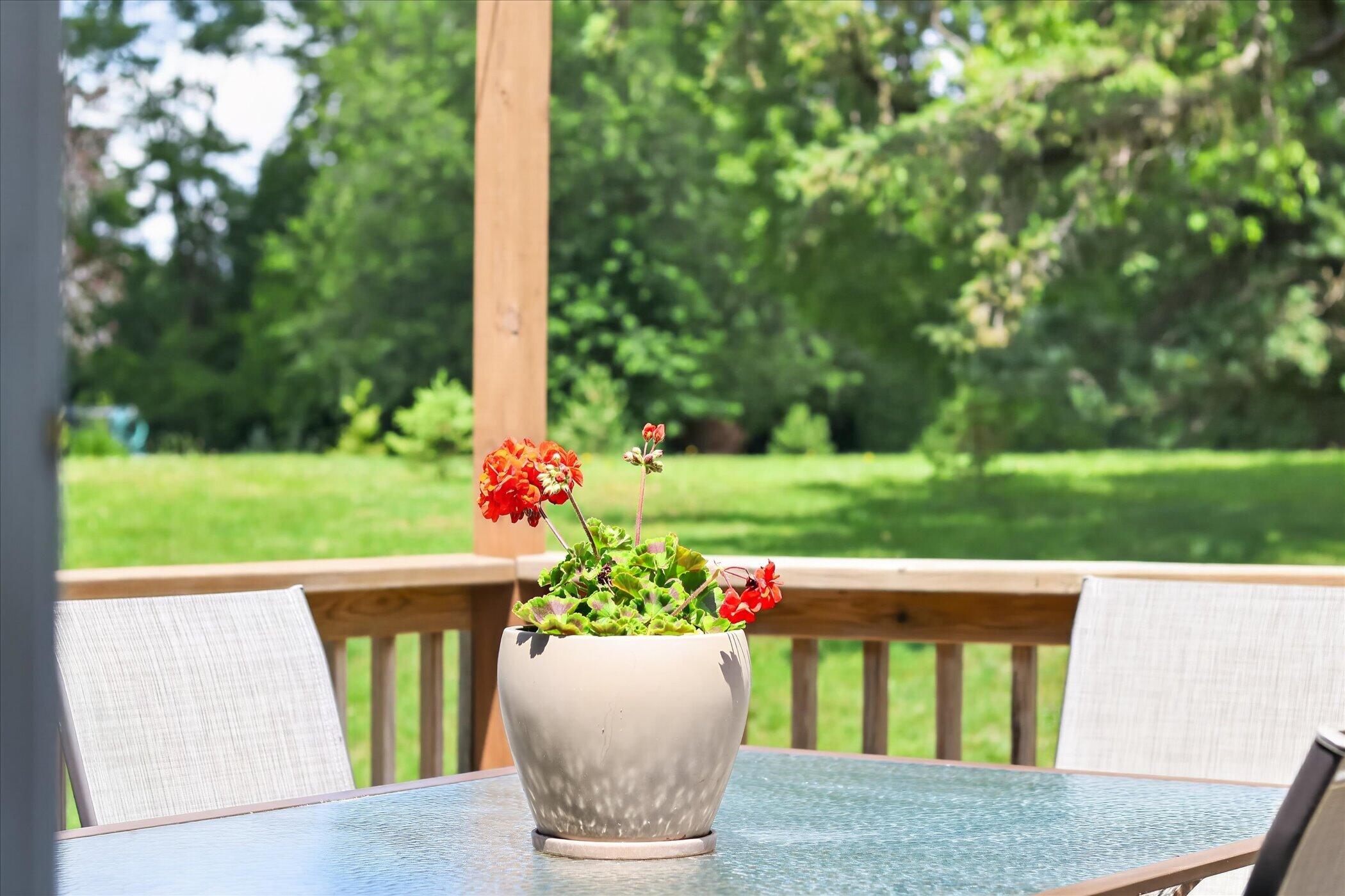 2747 4 Mile Road Northwest Grand Rapids, MI 49544 - Photo 41 of 48 Deck