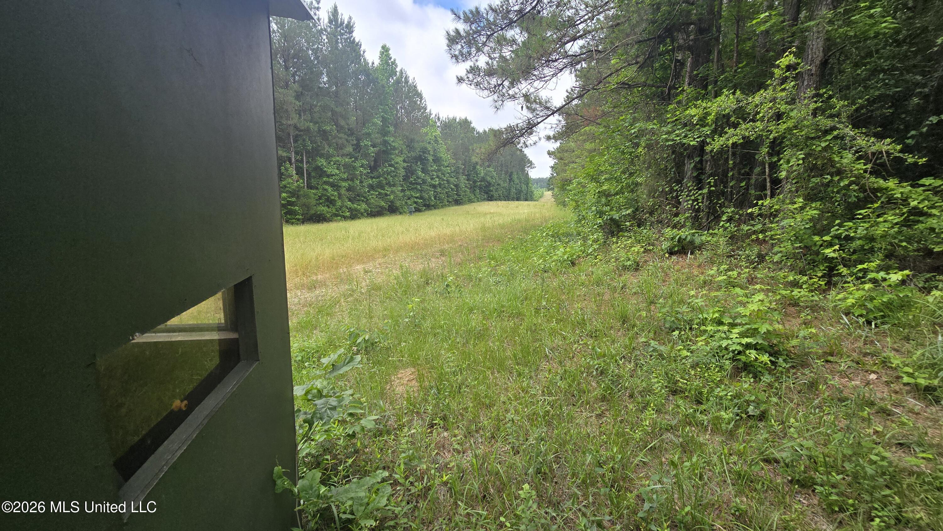 189 Co Road Bay Springs, MS 39422 - Photo 24 of 61 20260513_104632