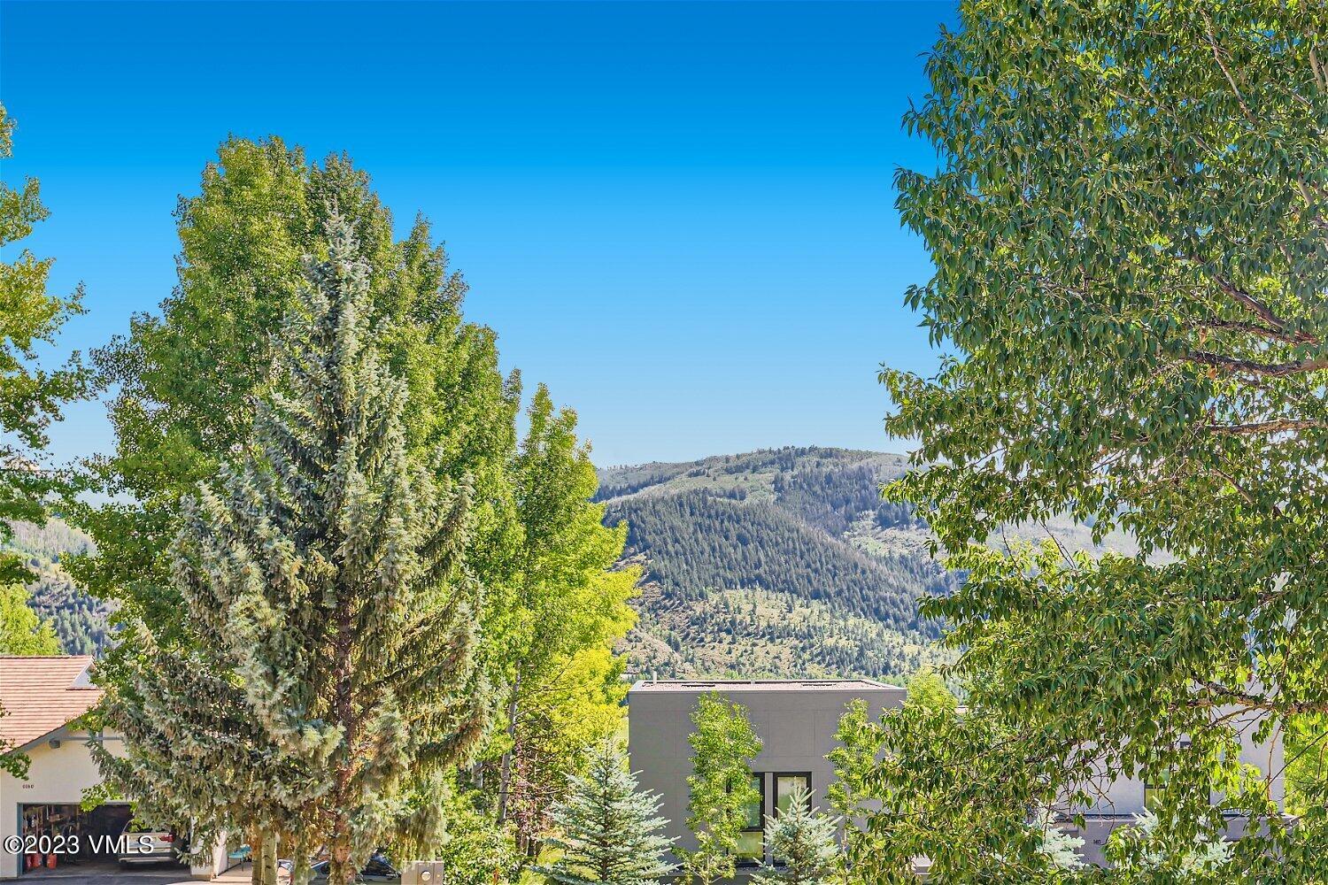 141 Chaparral Road Edwards, CO 81632 - Photo 6 of 38 141 Chaparral Rd - Web Quality - 037 - 6