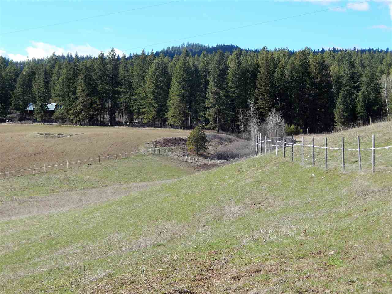 2570 Grimm Road Addy, WA 99101 - Photo 2 of 20