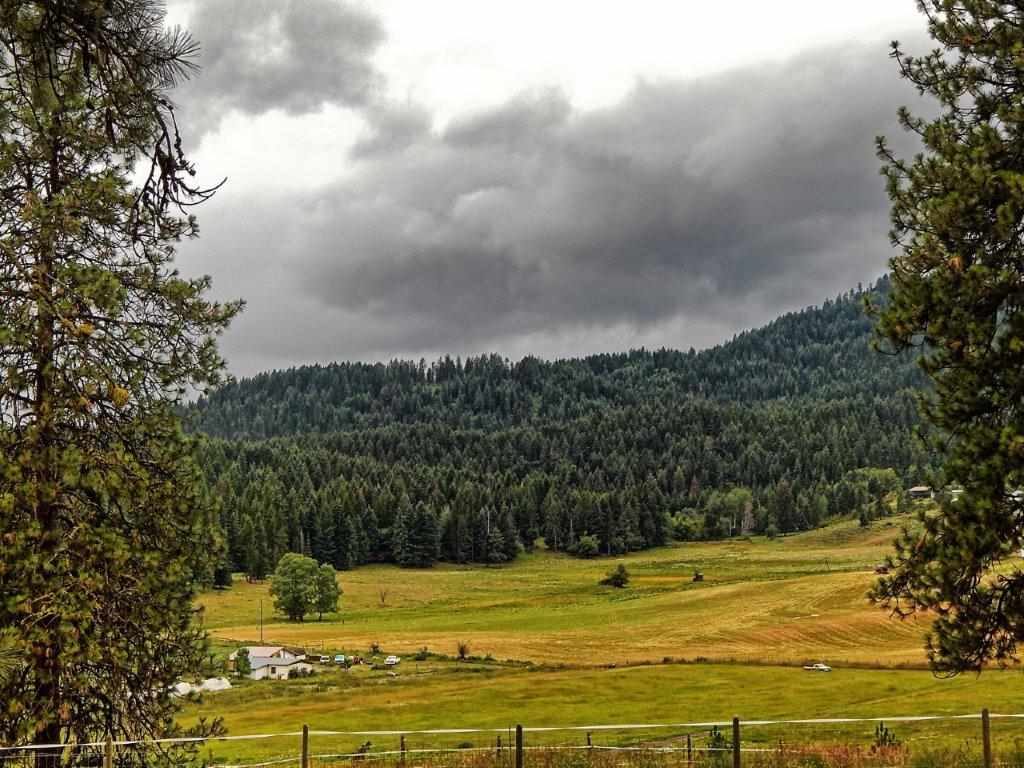 2570 Grimm Road Addy, WA 99101 - Photo 3 of 20