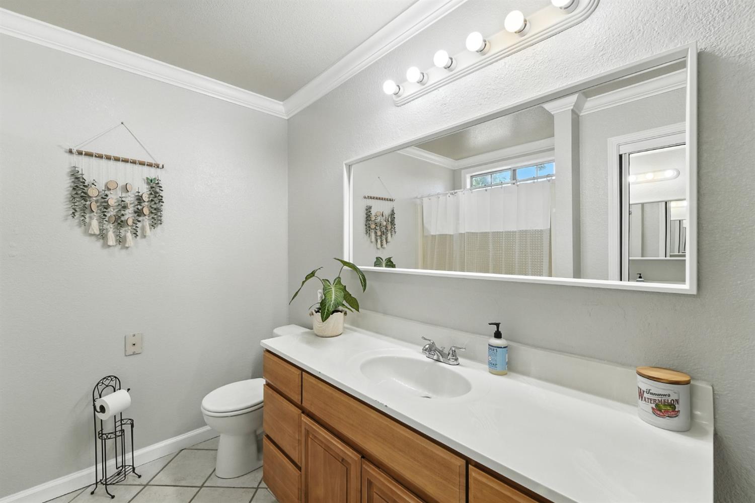 2422 Cheyenne Road Copperopolis, CA 95228 - Photo 29 of 64 a bathroom with a toilet sink and mirror