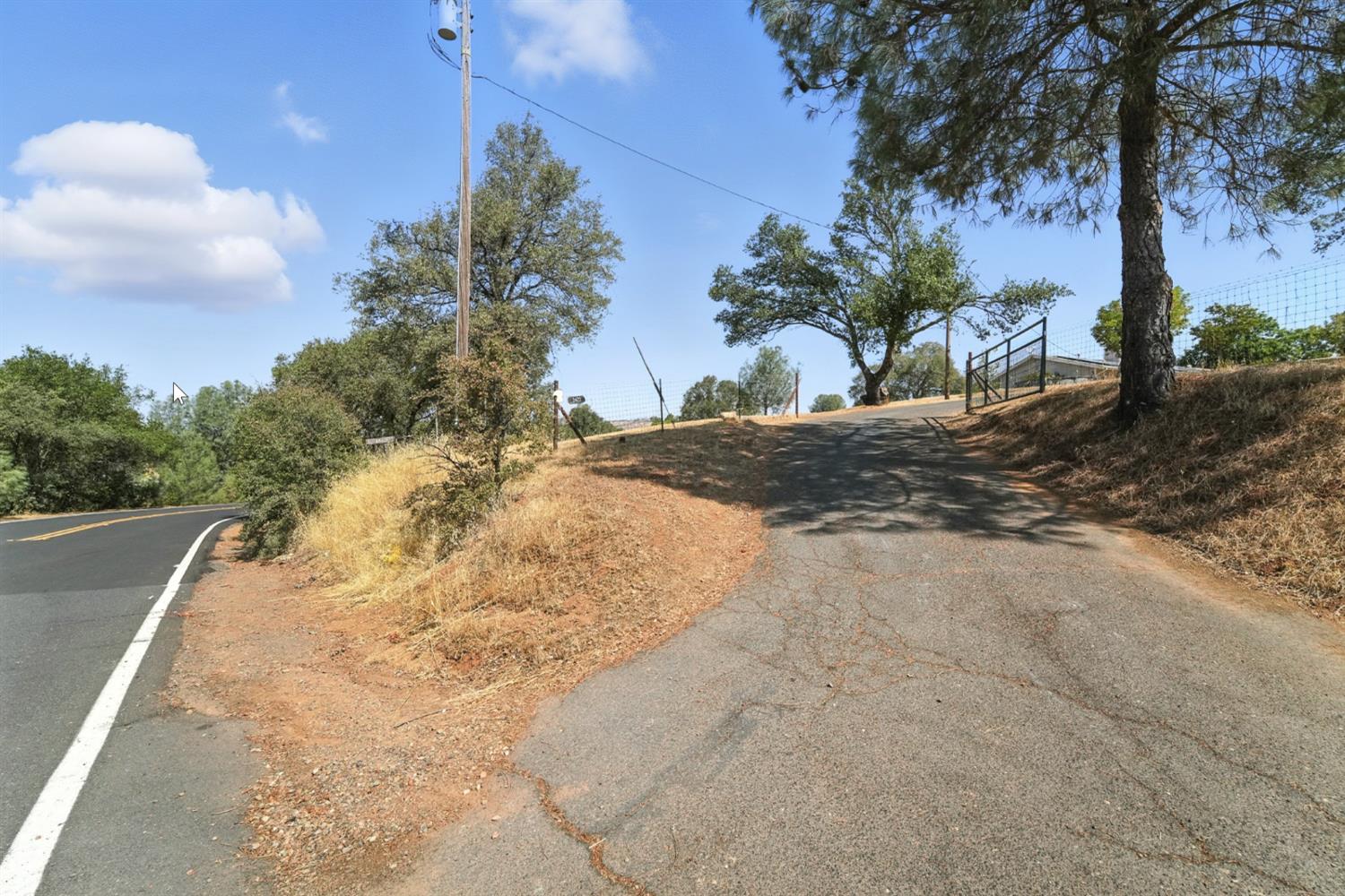 2422 Cheyenne Road Copperopolis, CA 95228 - Photo 38 of 64 a view of a yard with plants and trees