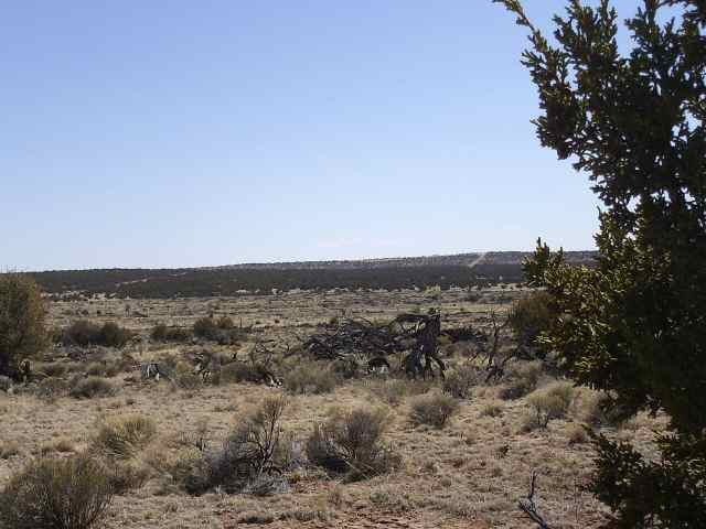 St-johns Az 85936 Ranch St. Johns, AZ 85936 - Photo 1 of 3