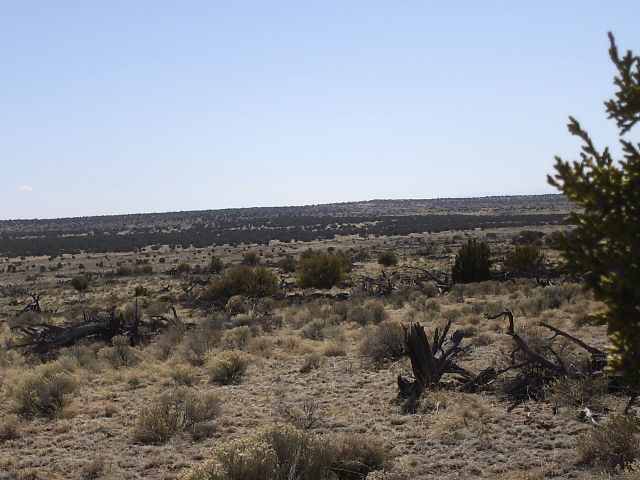 St-johns Az 85936 Ranch St. Johns, AZ 85936 - Photo 2 of 3