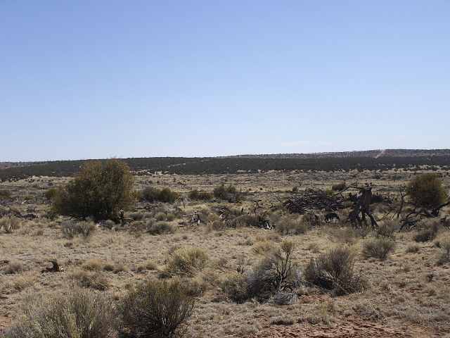 St-johns Az 85936 Ranch St. Johns, AZ 85936 - Photo 3 of 3